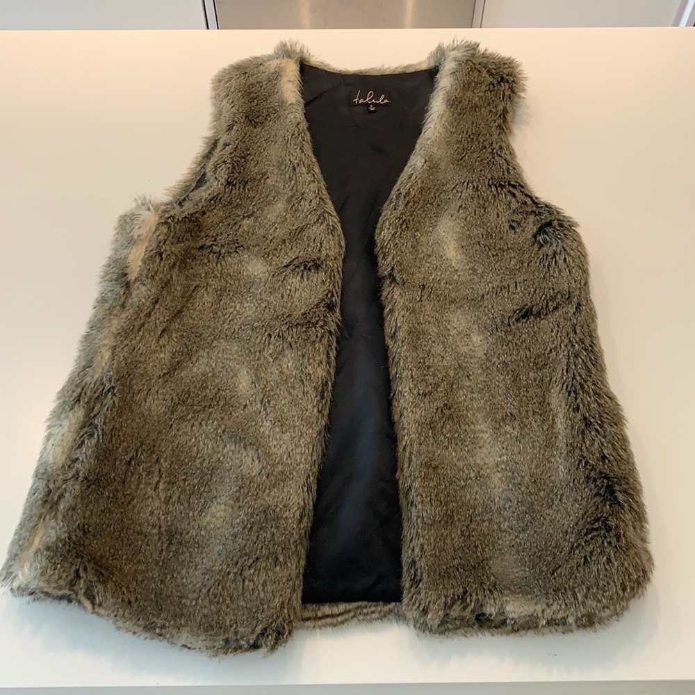 Aritzia Fur Vest